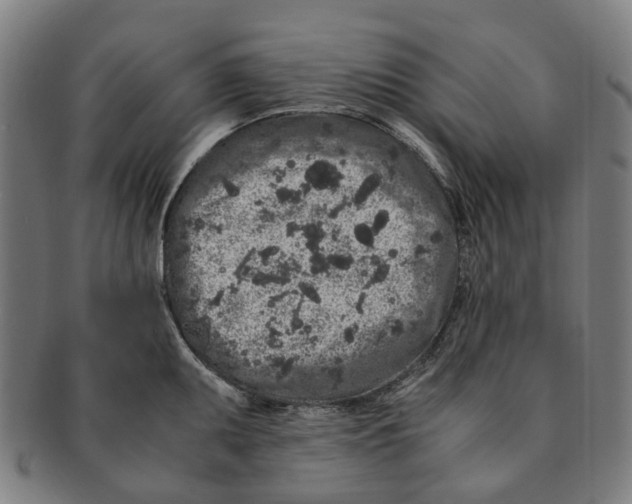 X0000090991095200708301306