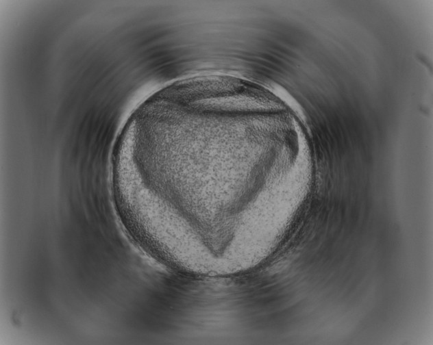 X0000090991096200708301306