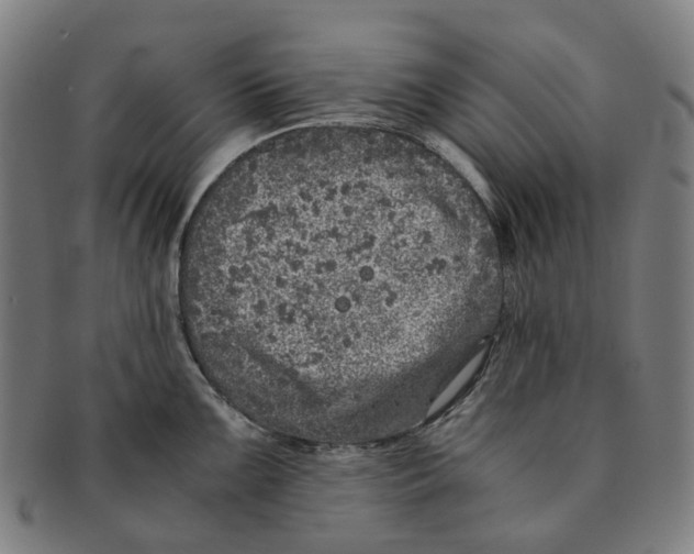 X0000090991099200708301306