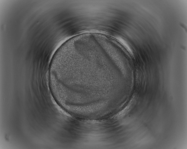 X0000090991100200708301306