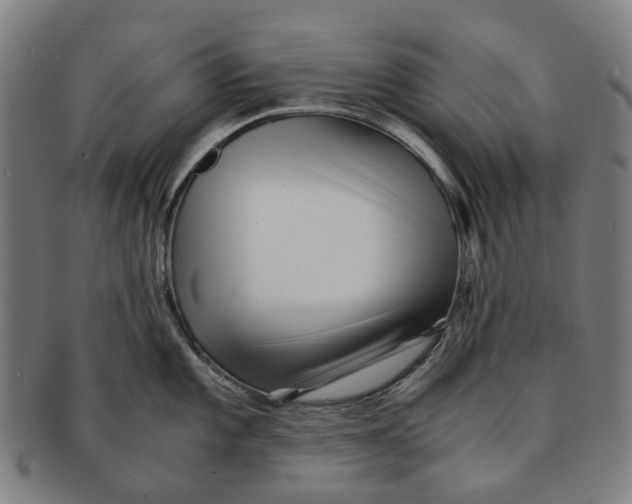 X0000090991101200708301306