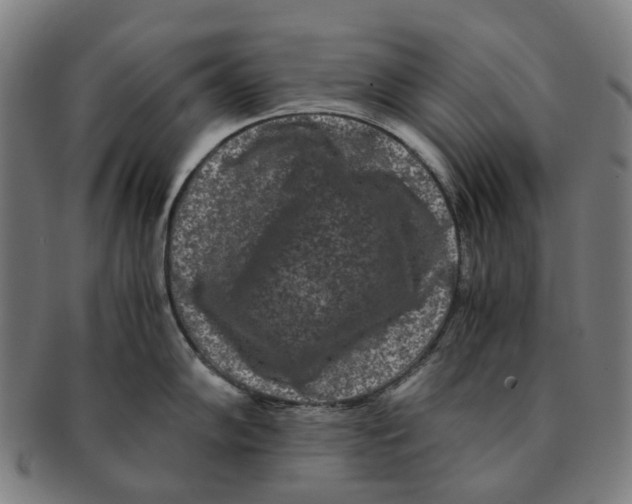 X0000090991102200708301306