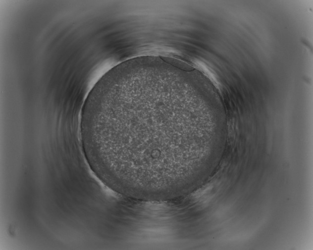 X0000090991103200708301306