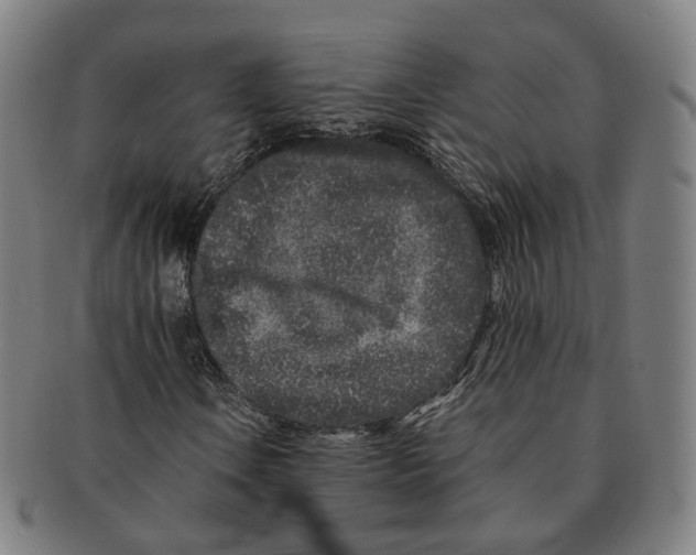 X0000090991106200708301306