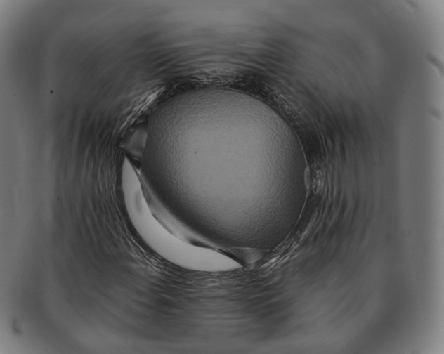 X0000090991108200708301306