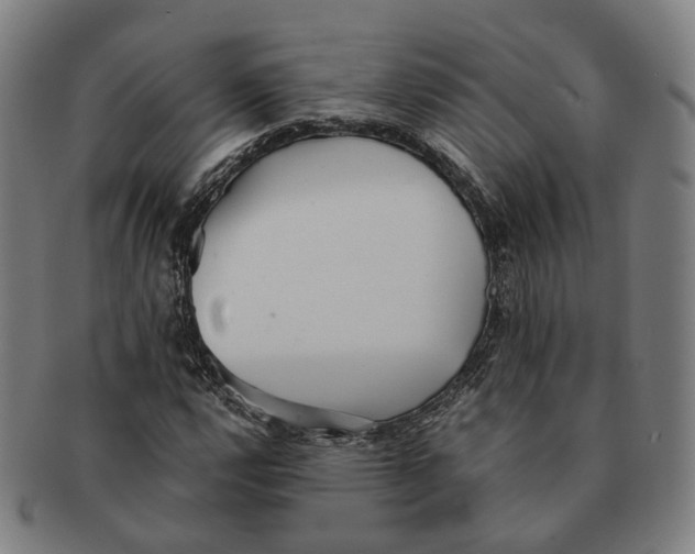 X0000090991112200708301306