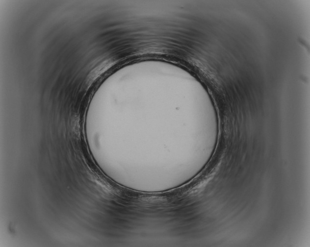 X0000090991113200708301306