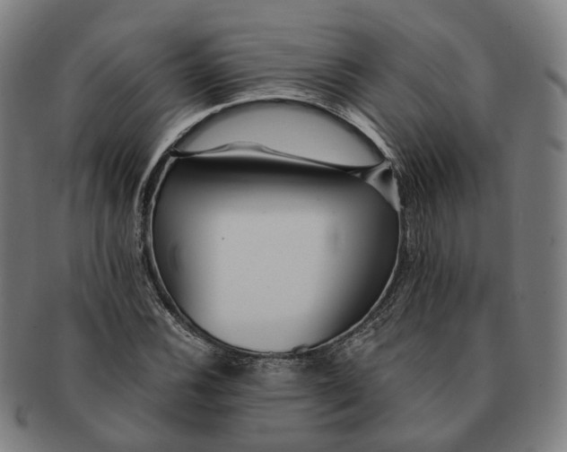 X0000090991116200708301306