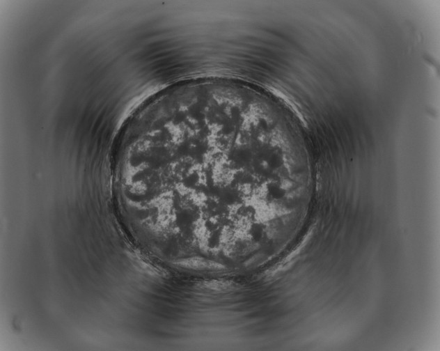 X0000090991117200708301306