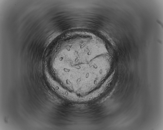 X0000090991121200708301306