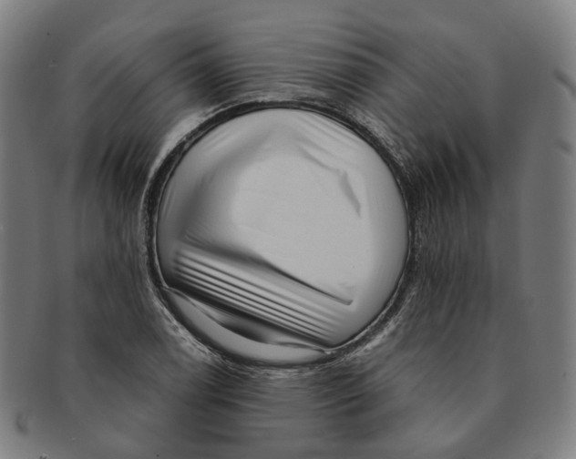 X0000090991122200708301306