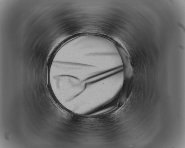 X0000090991123200708301306