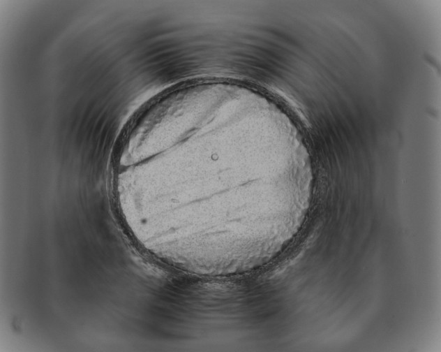 X0000090991125200708301306