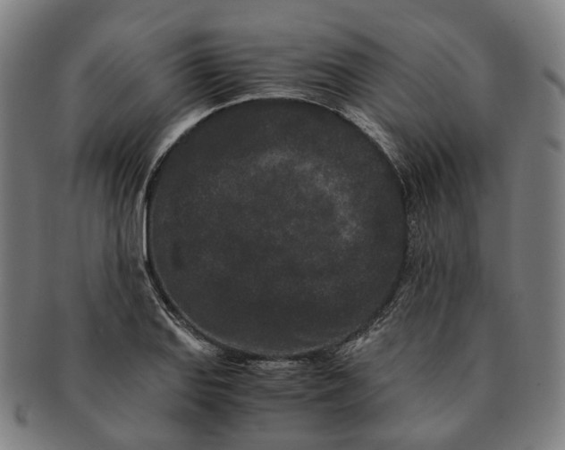 X0000090991127200708301306