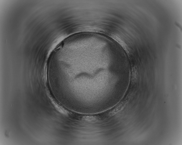 X0000090991128200708301306