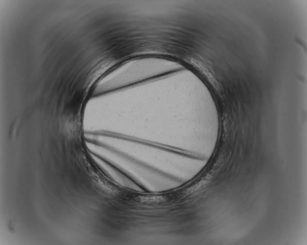 X0000090991129200708301306