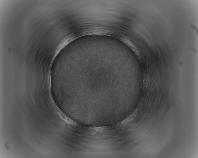 X0000090991130200708301306