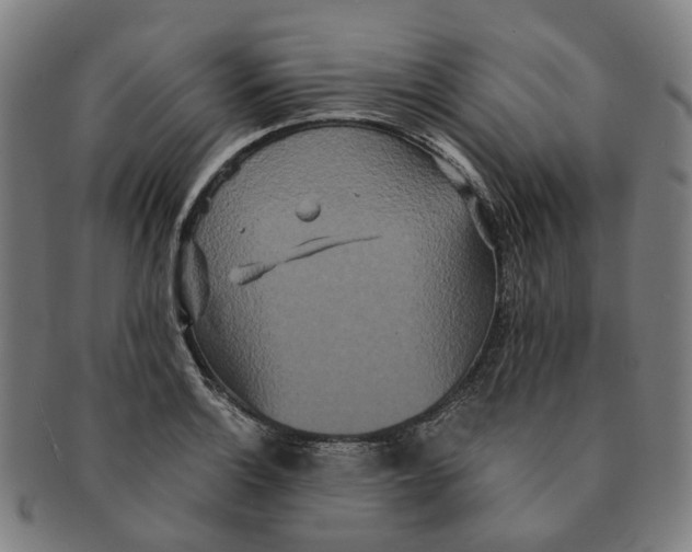 X0000090991132200708301306