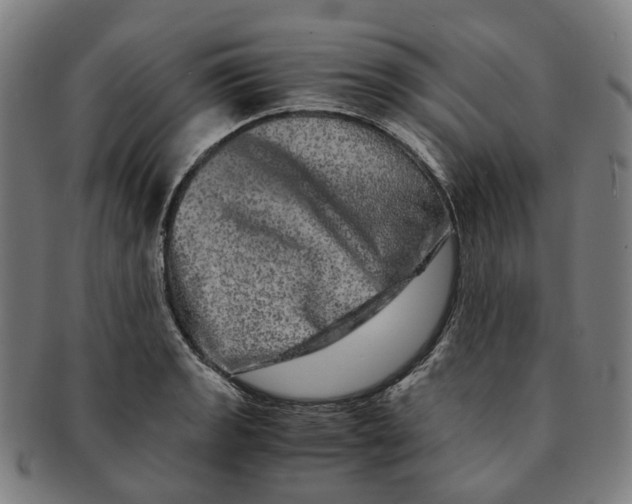 X0000090991133200708301306