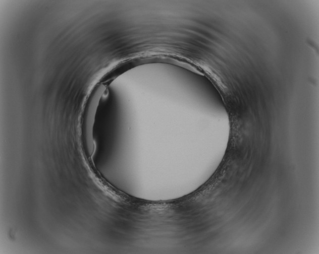 X0000090991134200708301306