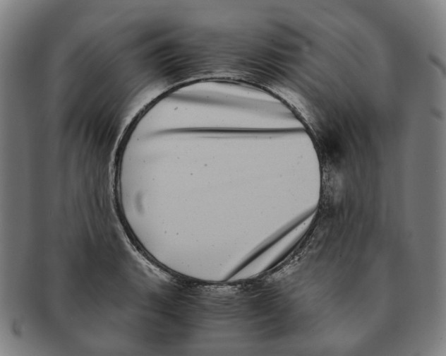 X0000090991135200708301306