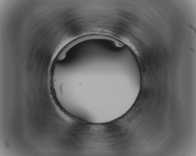 X0000090991136200708301306