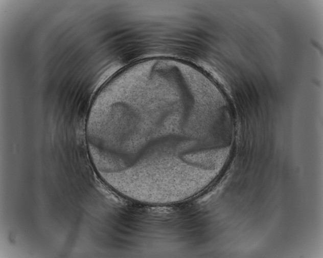 X0000090991137200708301306