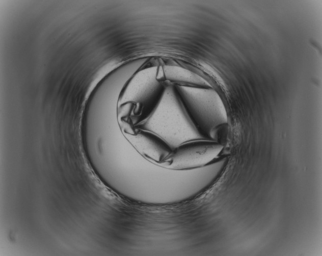 X0000090991138200708301306