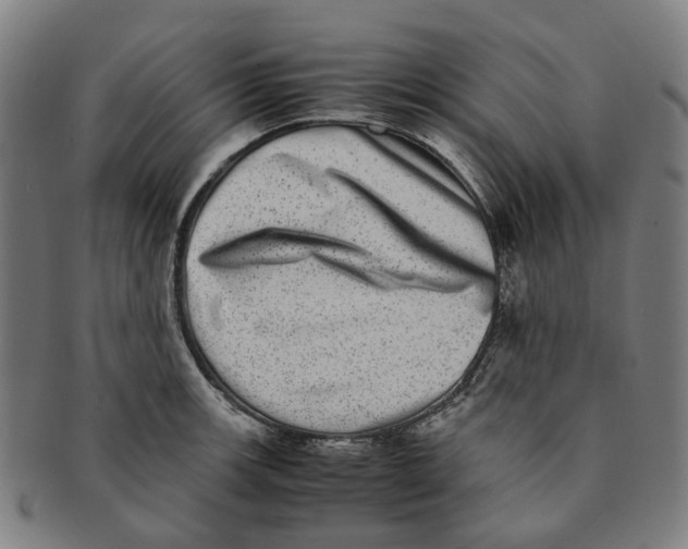 X0000090991139200708301306