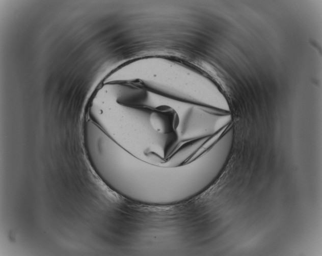 X0000090991140200708301306