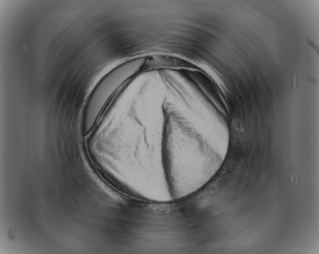 X0000090991142200708301306