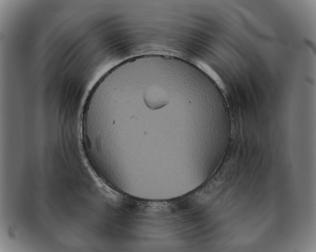 X0000090991144200708301306