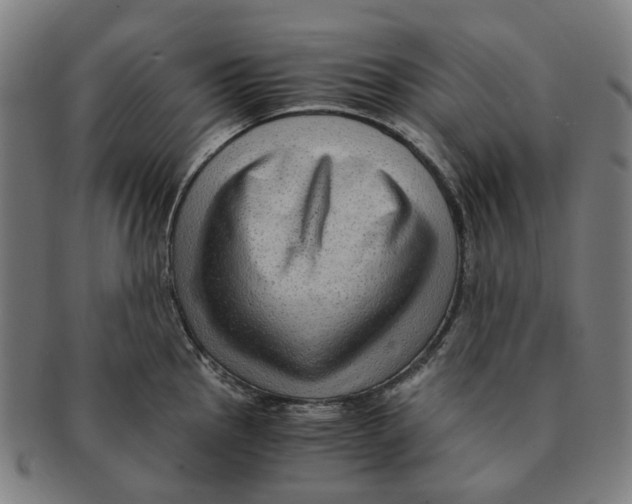 X0000090991145200708301306