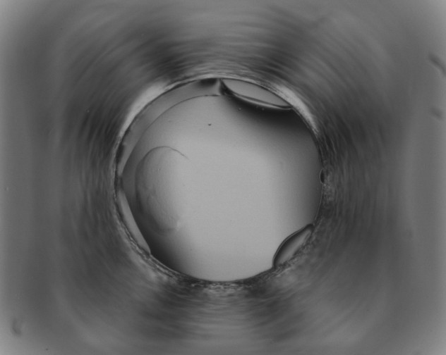 X0000090991146200708301306