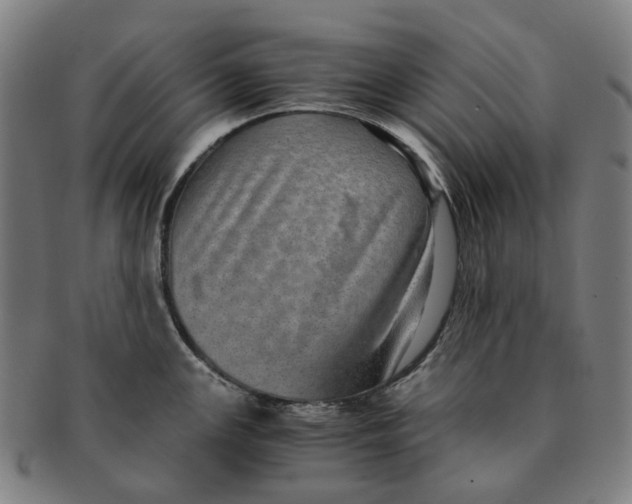 X0000090991147200708301306