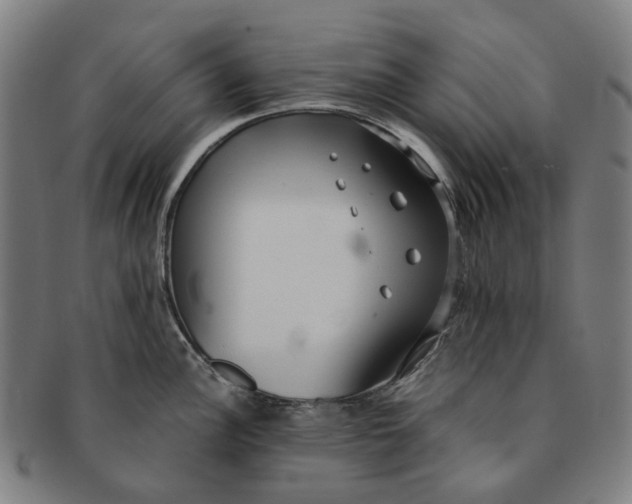 X0000090991148200708301306