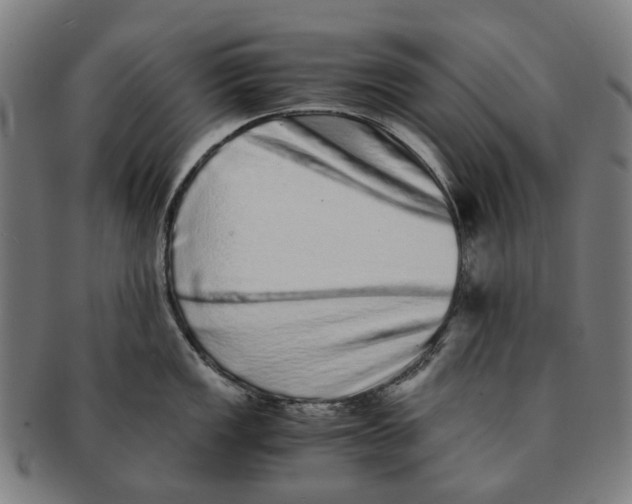 X0000090991149200708301306