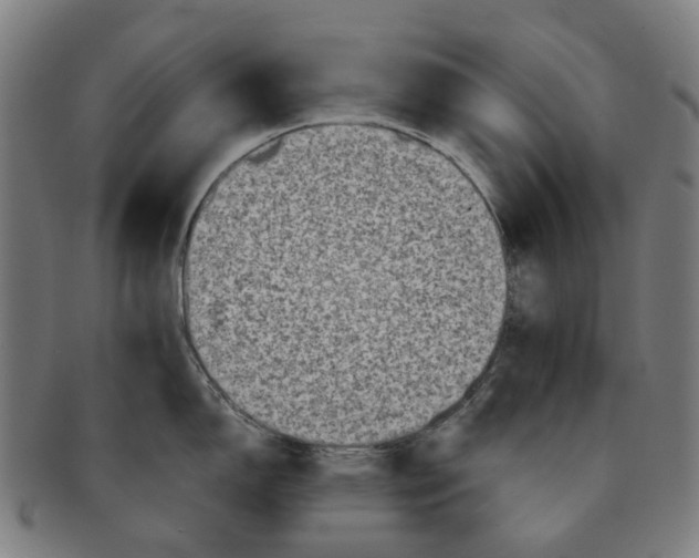 X0000090991150200708301306