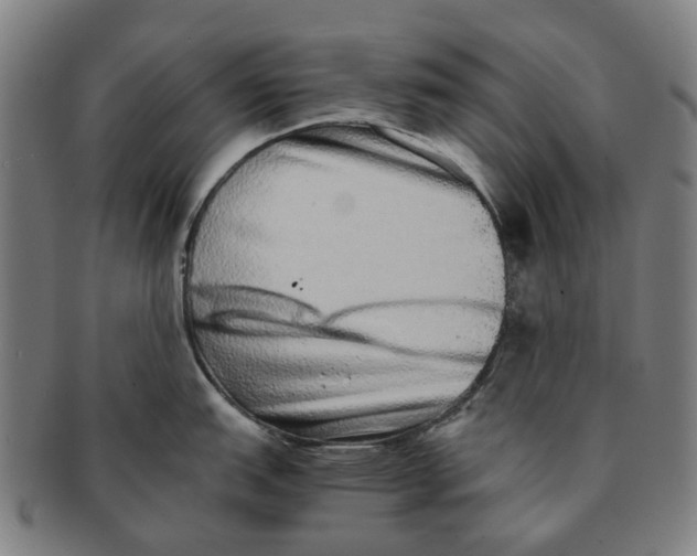 X0000090991151200708301306