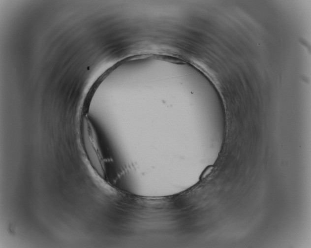 X0000090991152200708301306