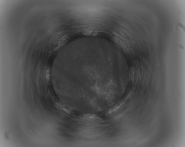 X0000090991154200708301306