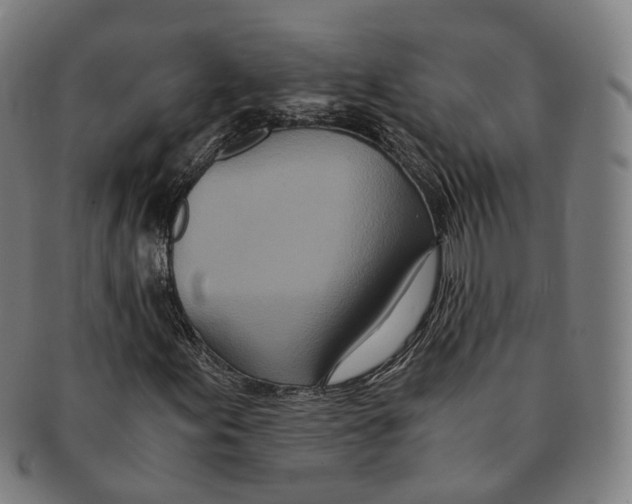 X0000090991155200708301306