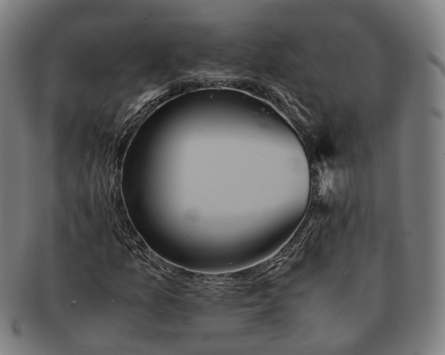 X0000090991157200708301305