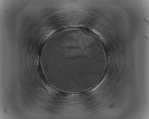 X0000090991161200708301305