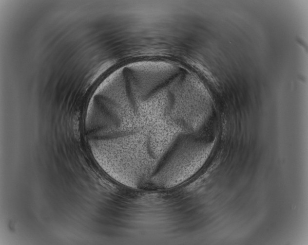 X0000090991162200708301305