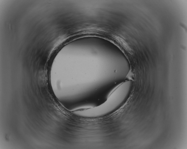 X0000090991164200708301305