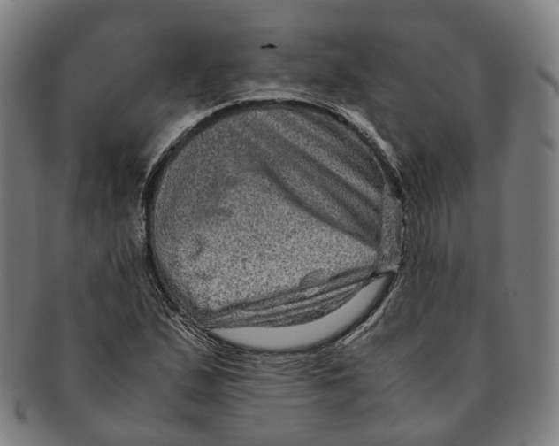 X0000090991167200708301305