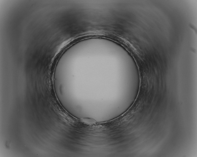 X0000090991168200708301305