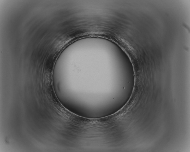 X0000090991169200708301305