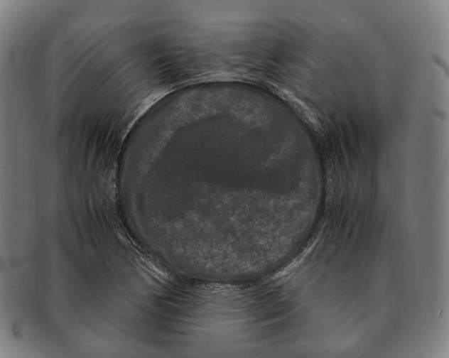 X0000090991170200708301305